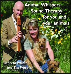 AnimalWhispers